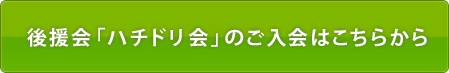 ご入会はこちらから