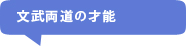 ʸ��ξƻ�κ�ǽ