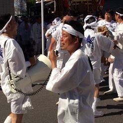 20150525-honnmikoshi122500_838773342882547_3411596146871904930_n.jpg